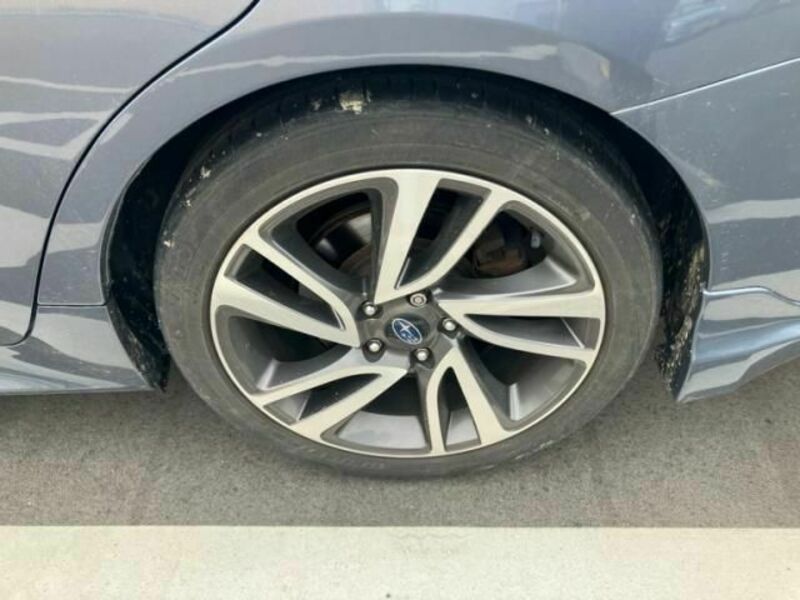 LEVORG-8