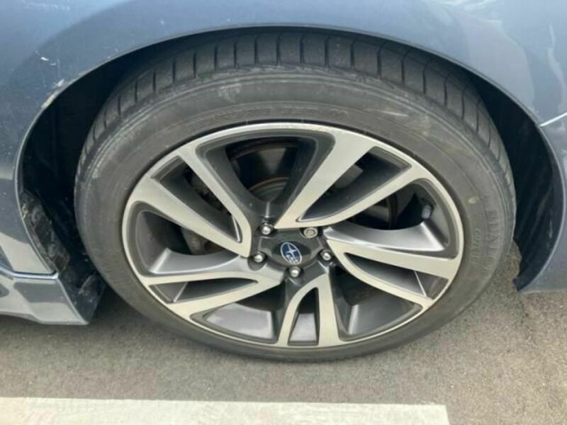 LEVORG-10