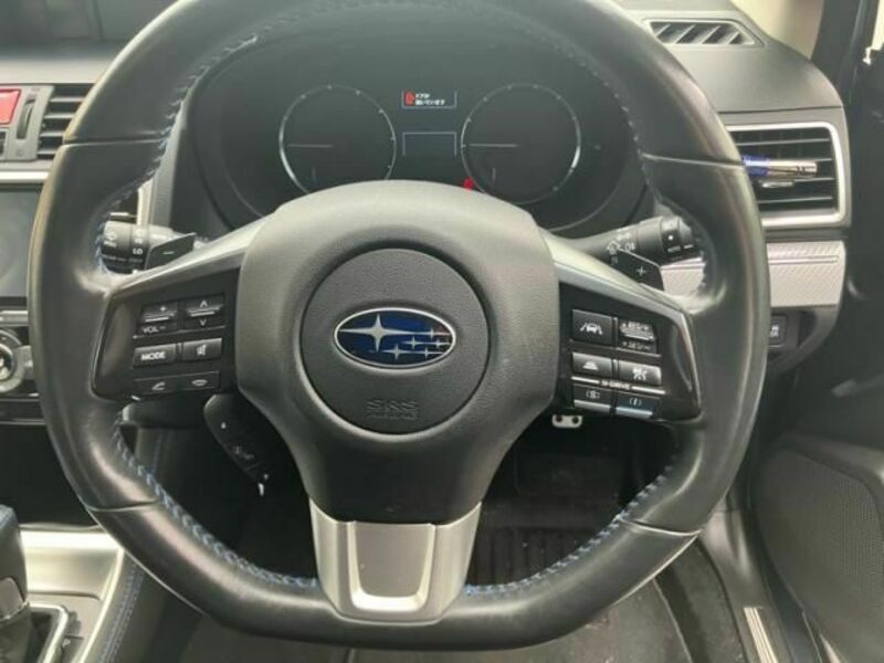 LEVORG-17
