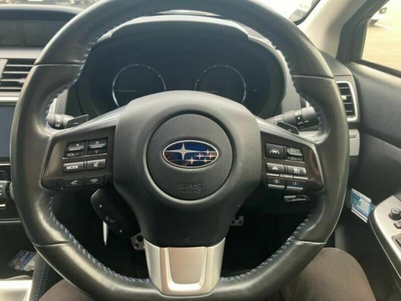 LEVORG-20
