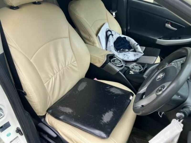 PRIUS-10