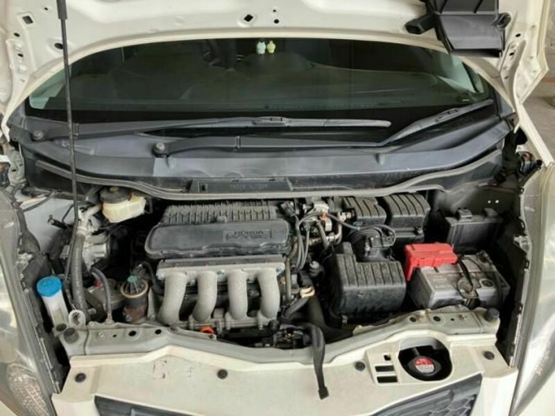 FIT-29