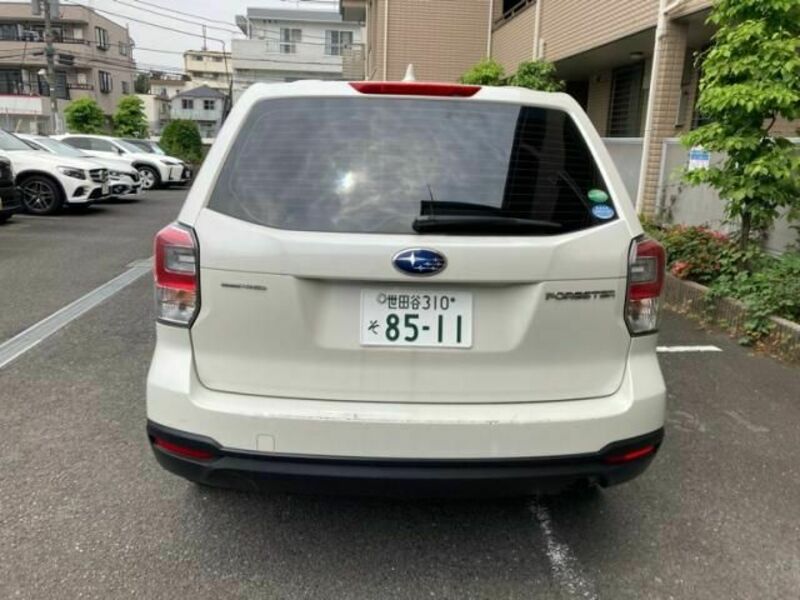 FORESTER