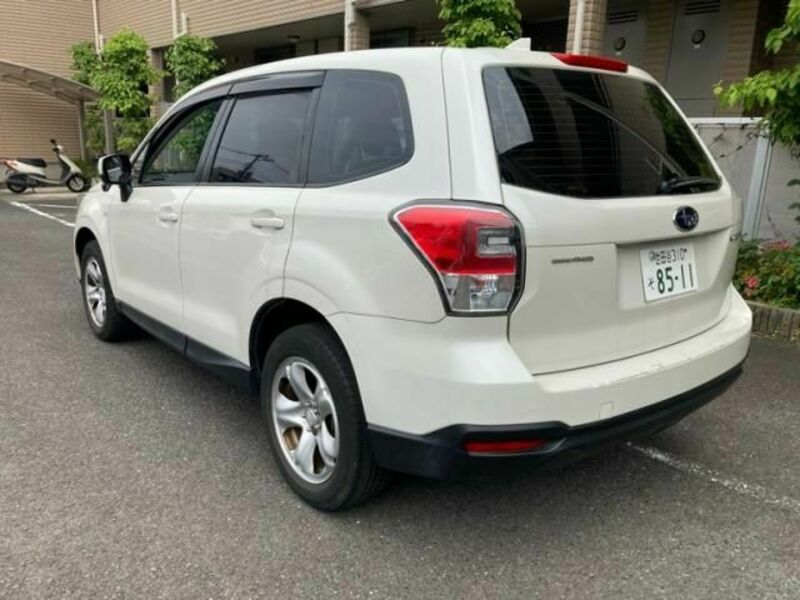 FORESTER