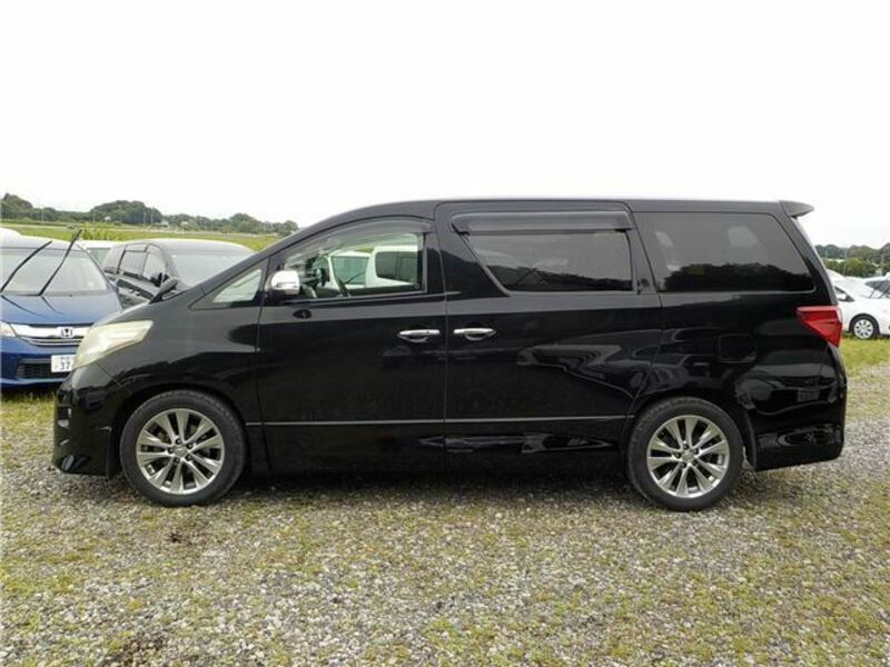 ALPHARD