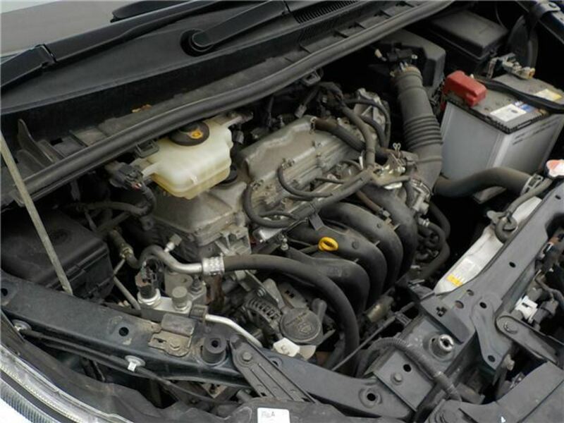 VOXY-5