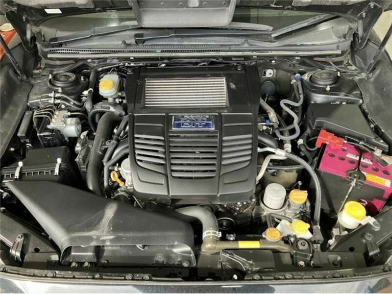 LEVORG-6
