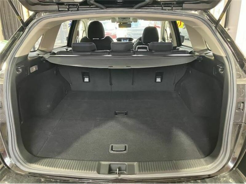 LEVORG-11