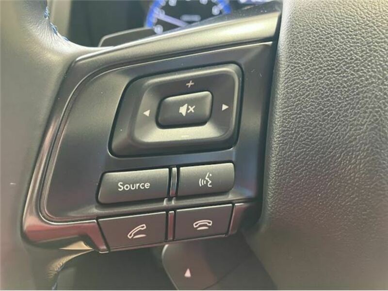 LEVORG-19