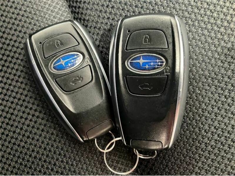 LEVORG-20