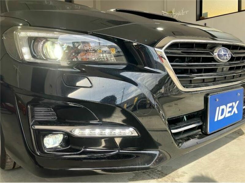 LEVORG-28