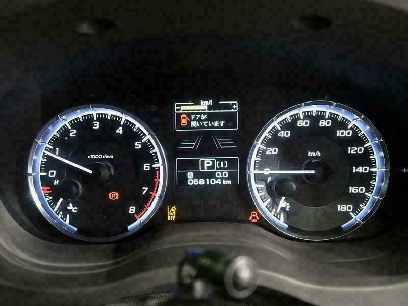 LEVORG