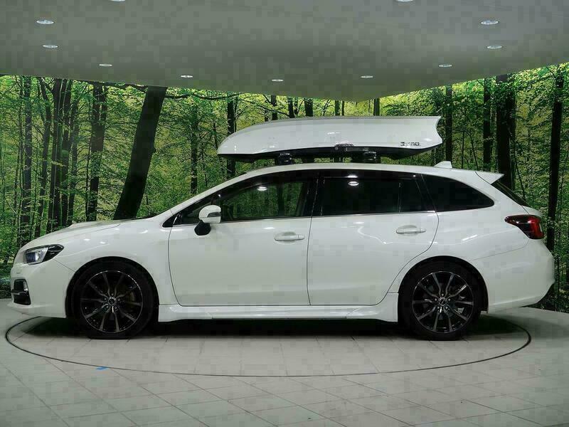 LEVORG