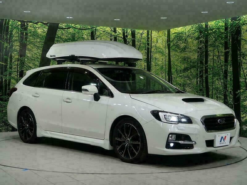 LEVORG