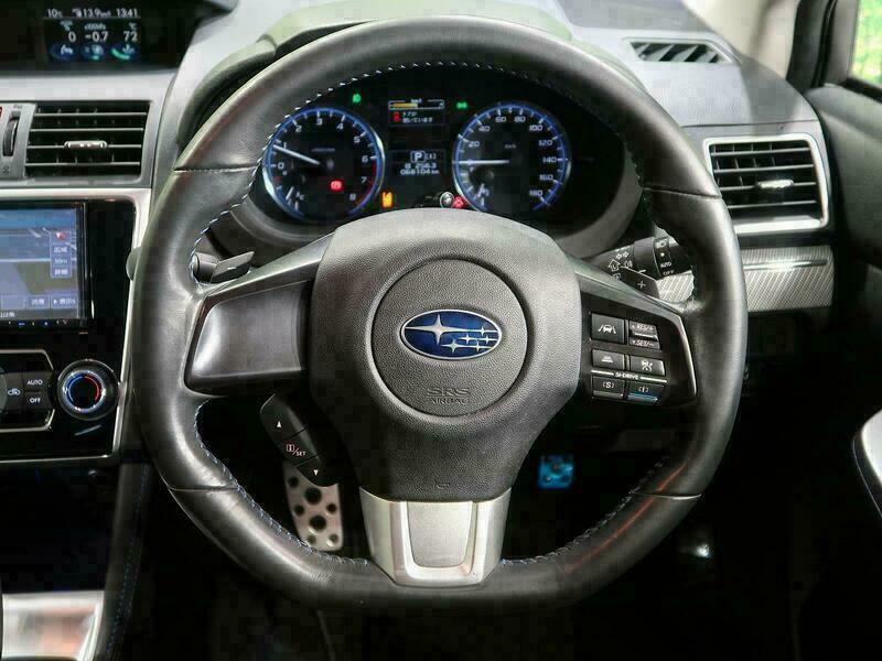LEVORG