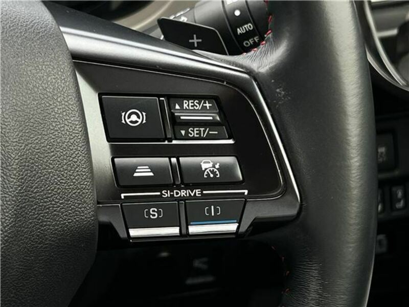 LEVORG-12