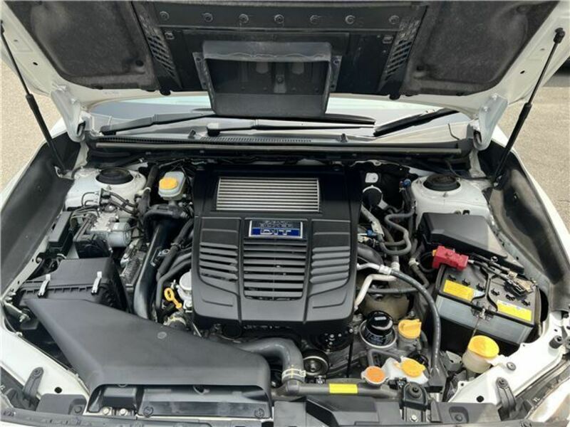 LEVORG-41