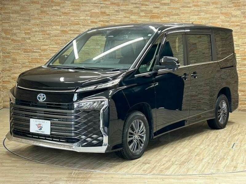 VOXY-13