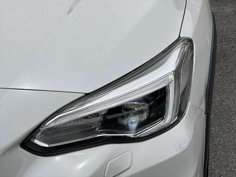 XV