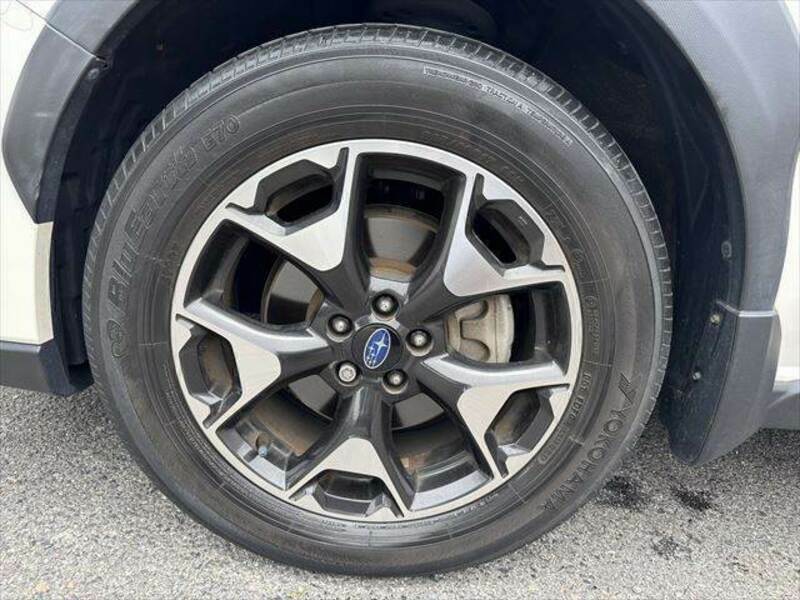 XV