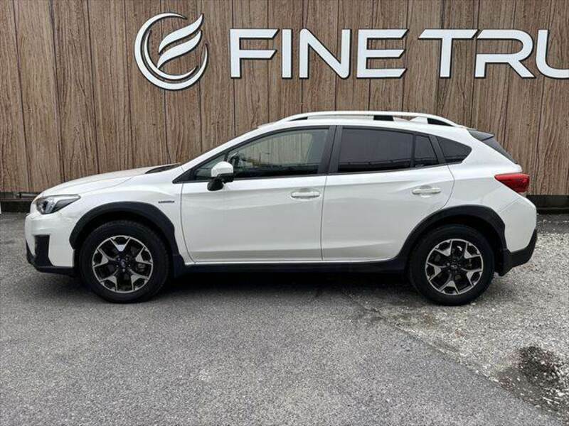XV