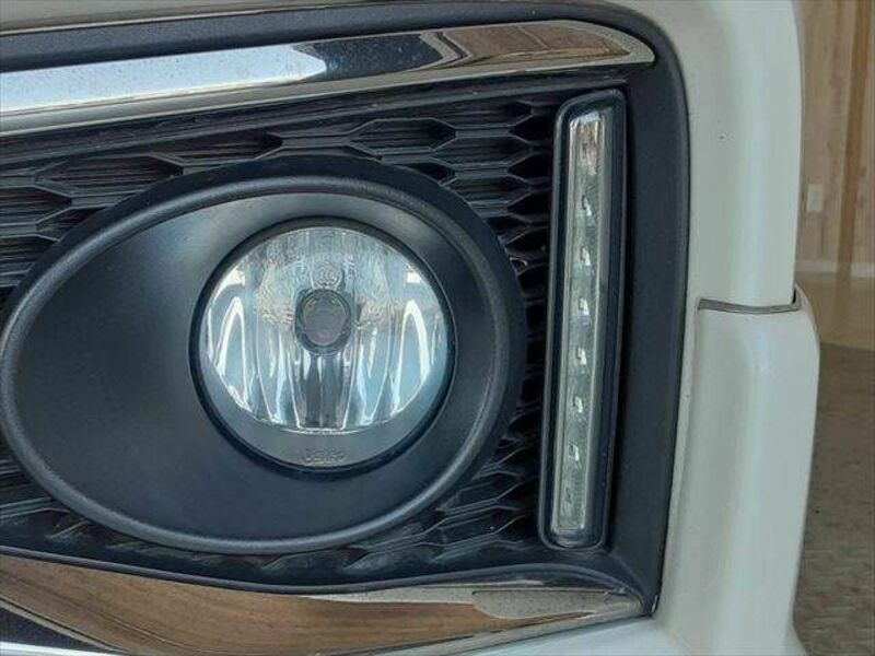 ELGRAND-25