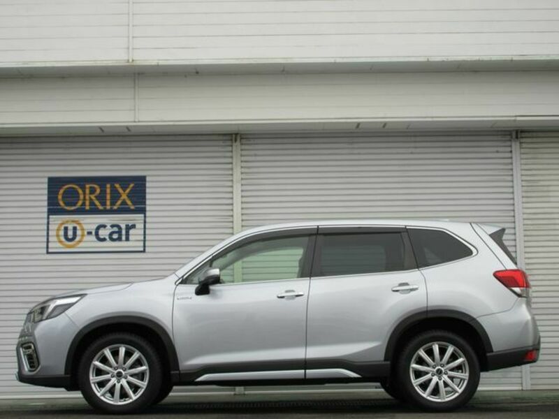 FORESTER