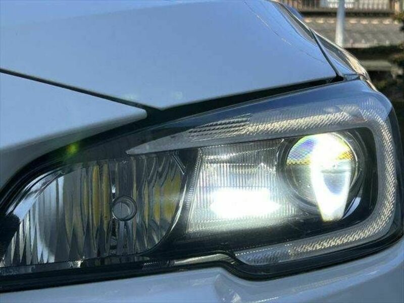 LEVORG-10