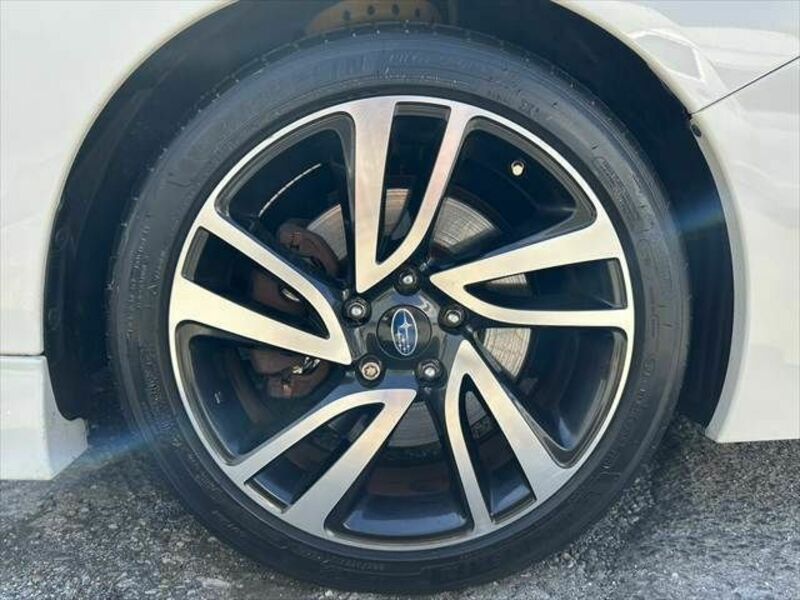 LEVORG-12