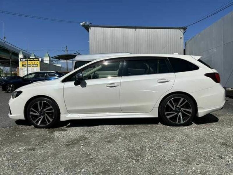 LEVORG-19