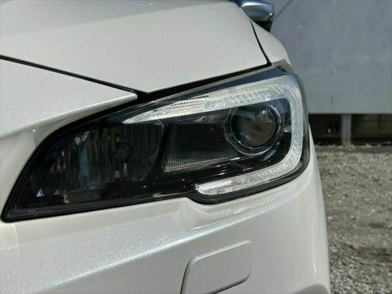 LEVORG-20