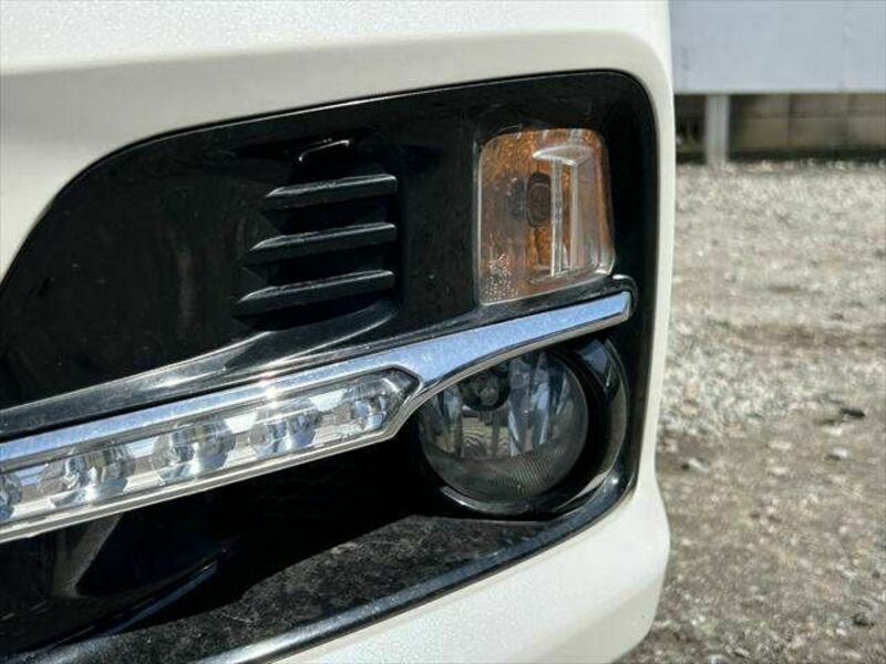 LEVORG-21