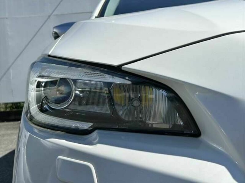 LEVORG-22
