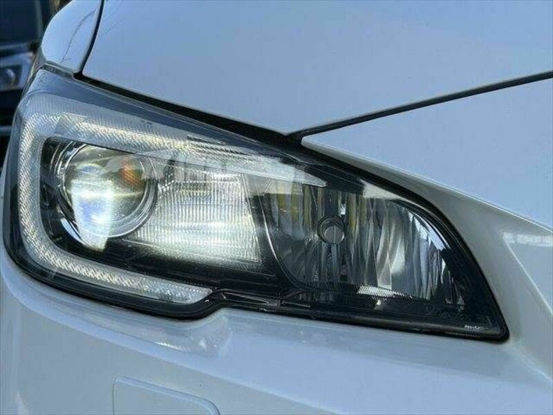 LEVORG-29