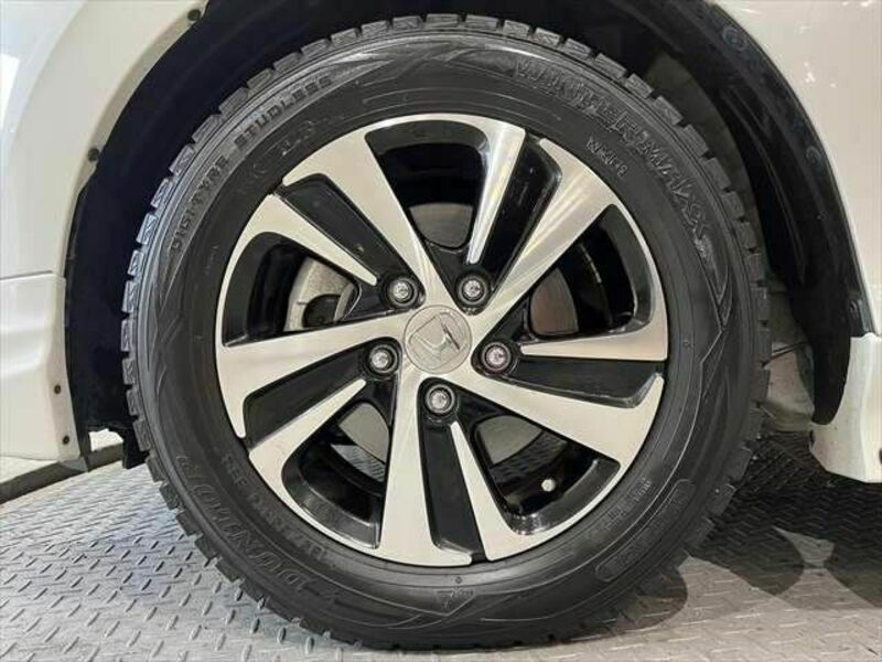 FREED HYBRID-13