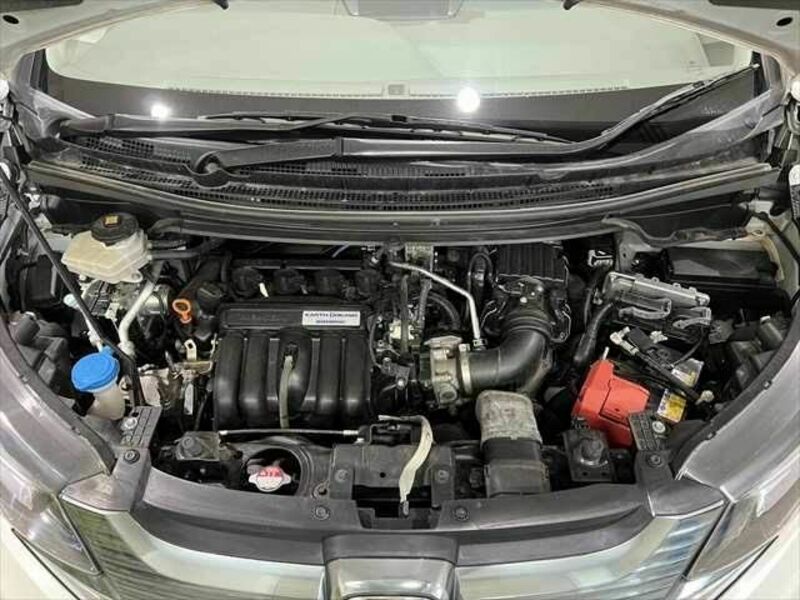 FREED HYBRID-29