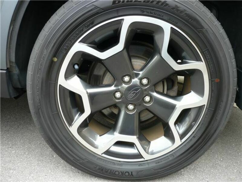 FORESTER-25