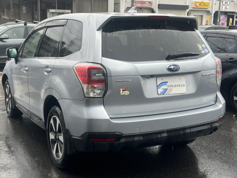 FORESTER