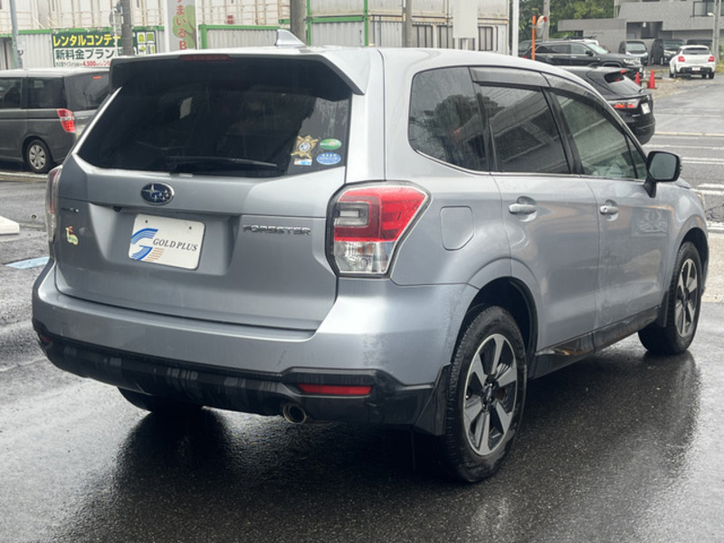 FORESTER