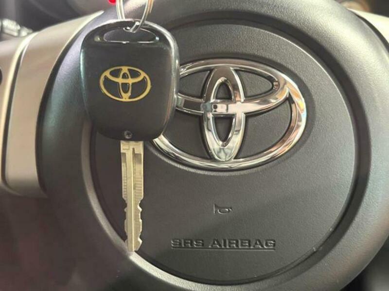 FJ CRUISER