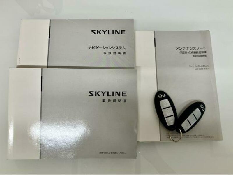 SKYLINE-7