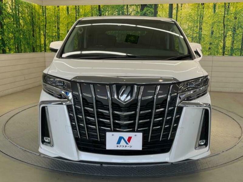 ALPHARD-13