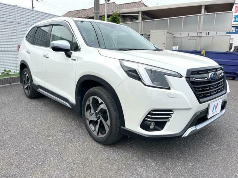 FORESTER