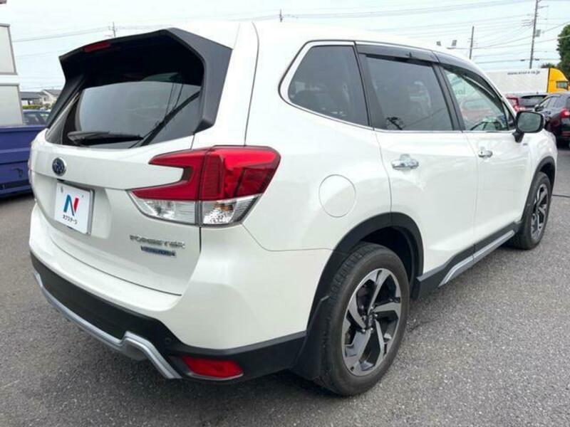 FORESTER