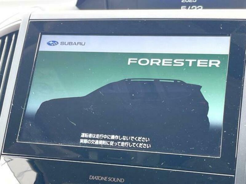 FORESTER