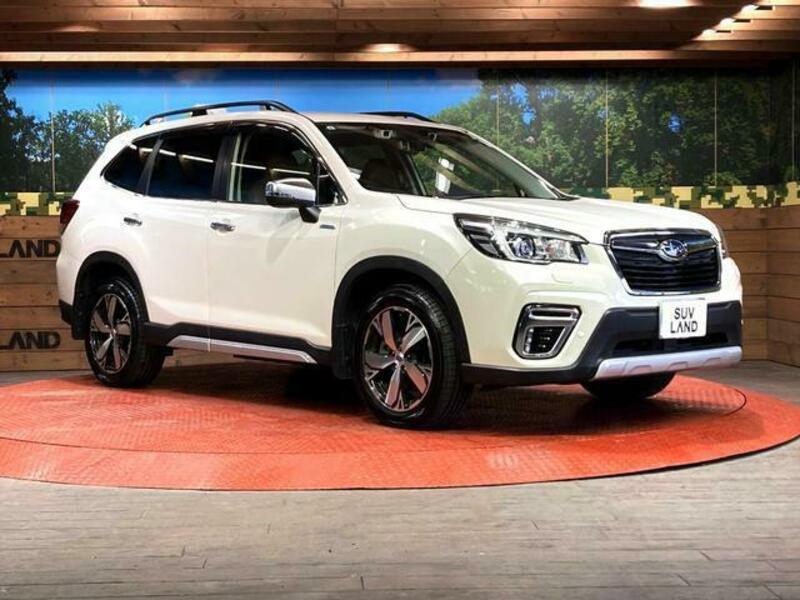 FORESTER-15