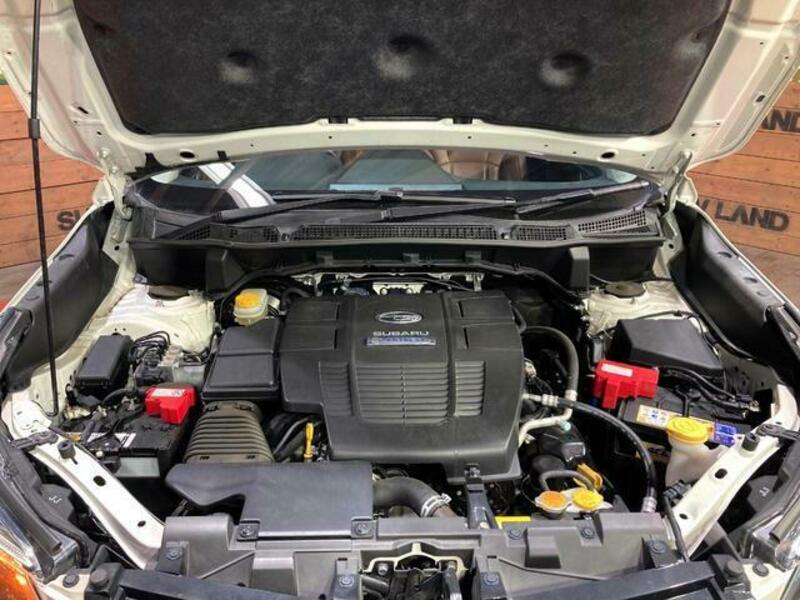 FORESTER-17