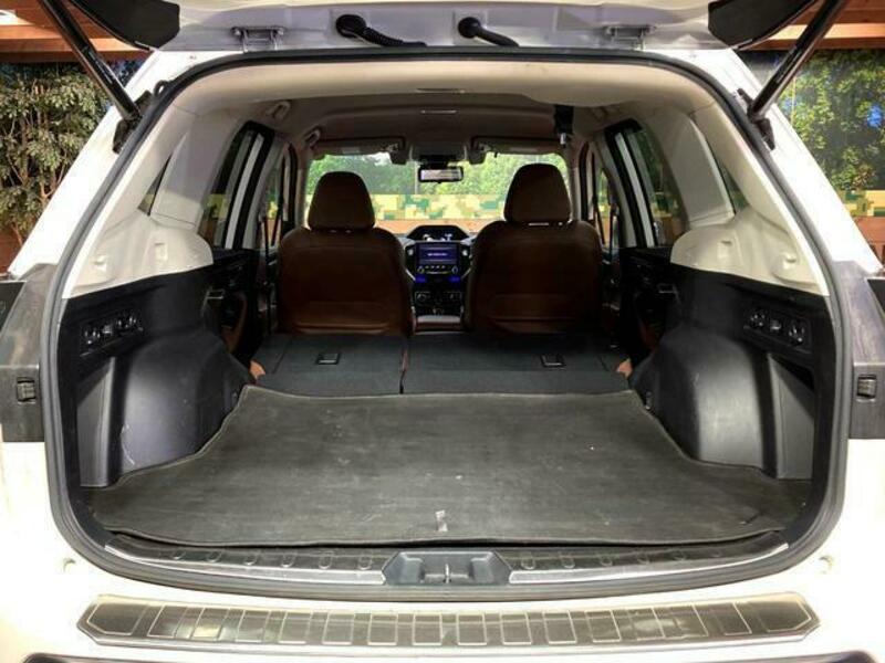 FORESTER-10