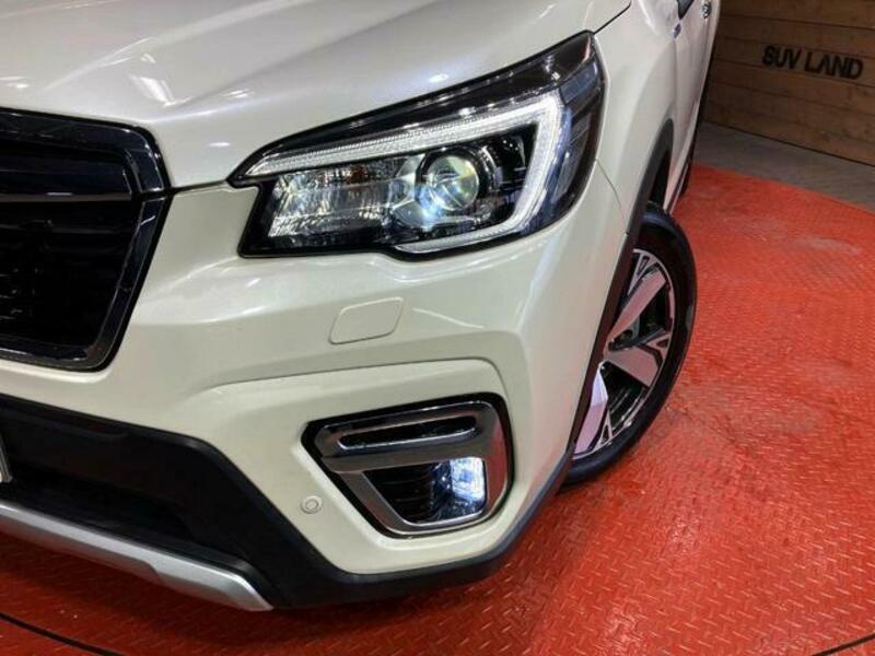 FORESTER-11