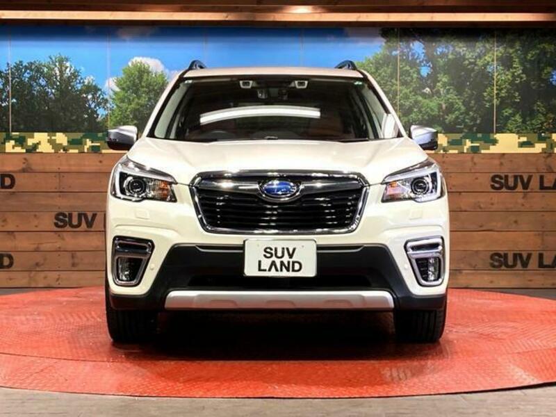 FORESTER-13